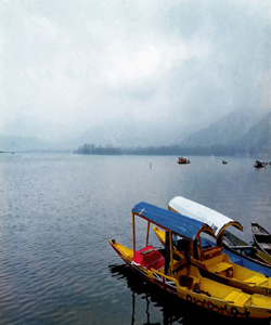 Travel Company in Pathankot