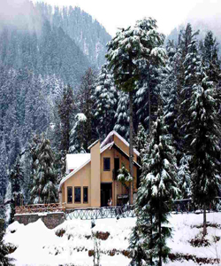Best Travel Agents in Pathankot