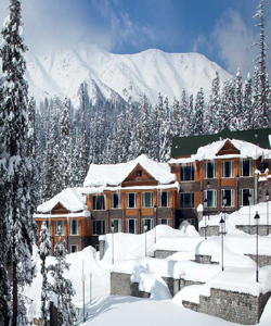 Tour Operator in Pathankot