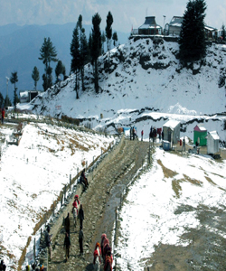 Best Travel Service in Pathankot